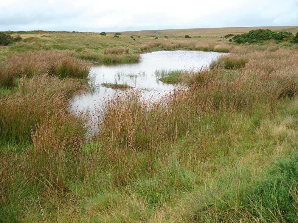A better view of the extension reservoir