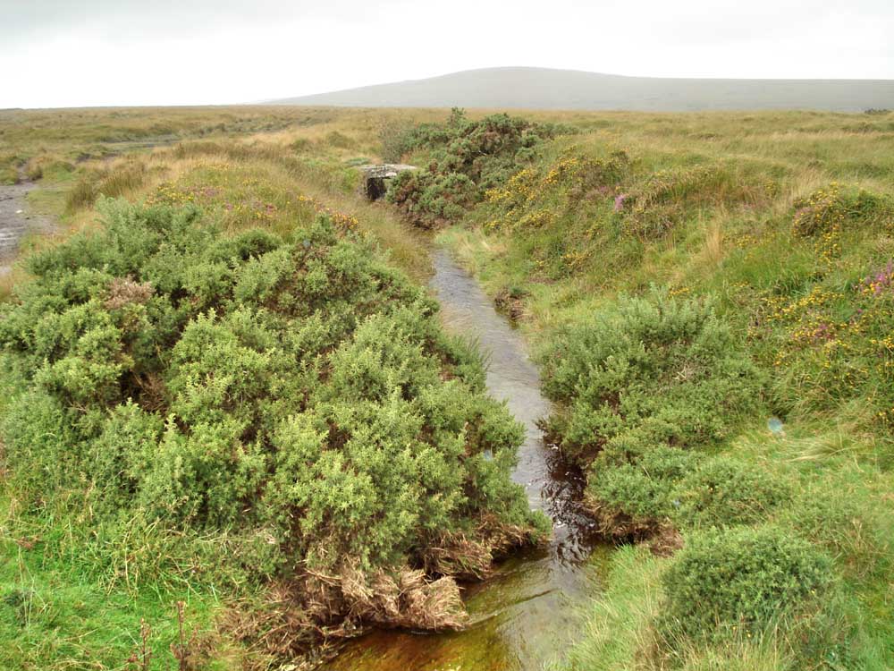 Looking along the disused Reddaford Leat