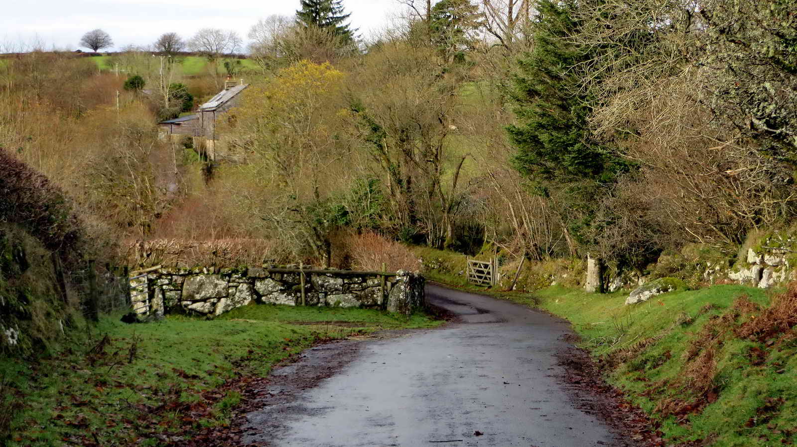 Leaving the open moor