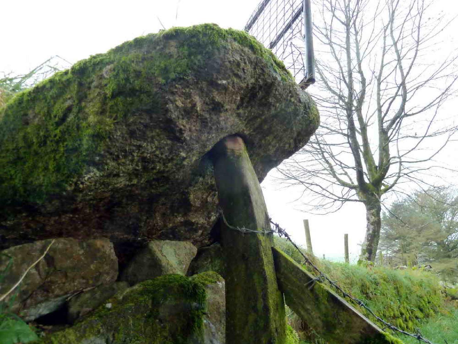 This similar stone from our Cox Tor walk shows how it may have been used