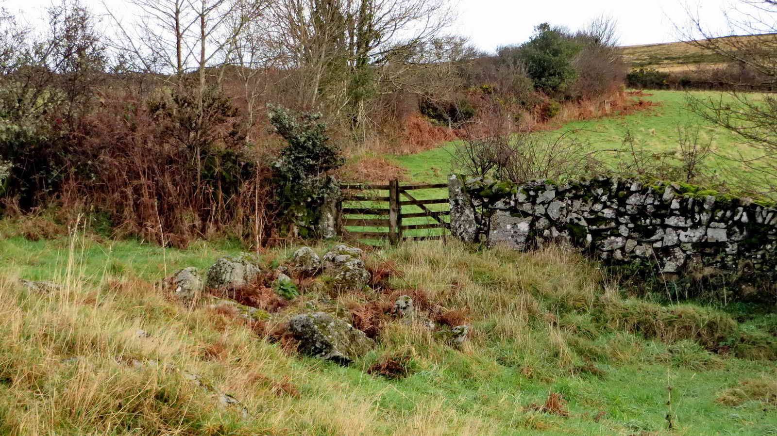 Part of House 6 and a gateway into adjoining private fields