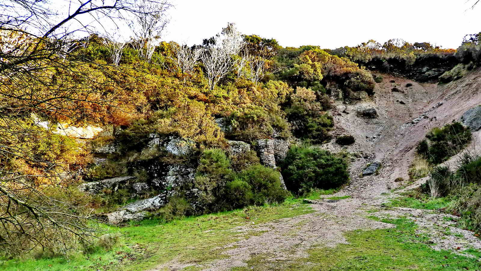 Wistman's Wood via Crockern and Littaford Tors