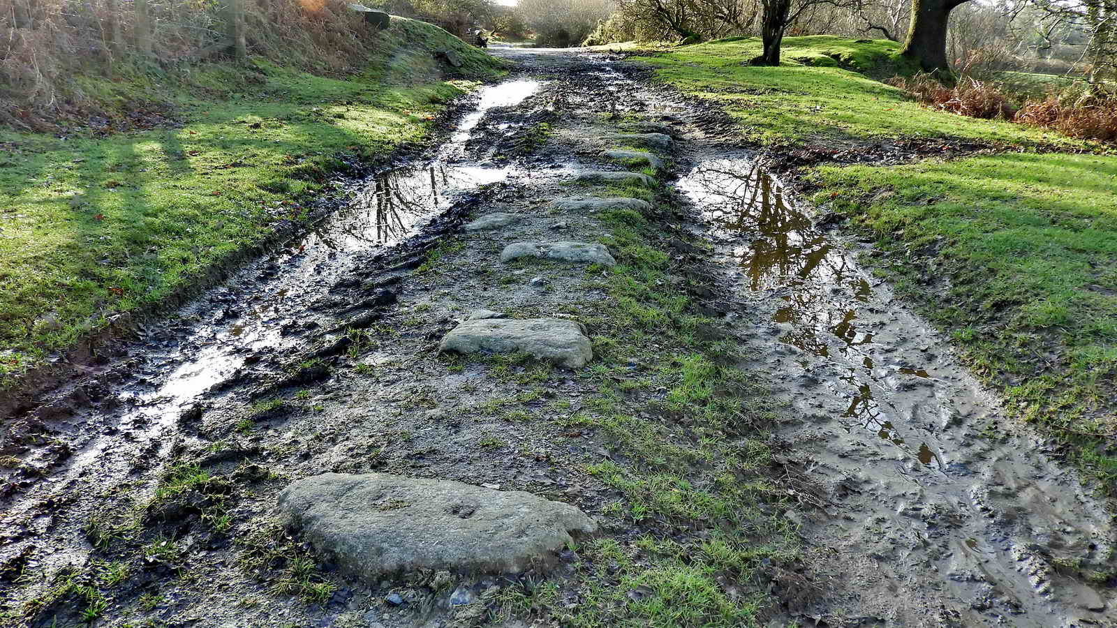 At SX 54232 68799 - about a dozen granite setts remain from the horse drawn tramway