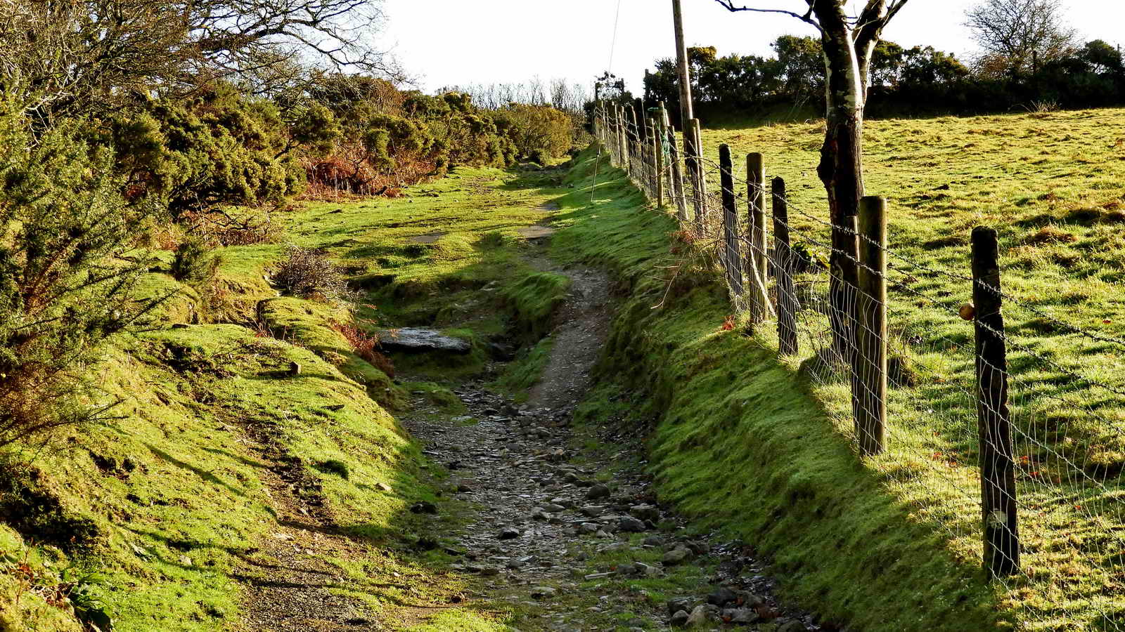 The rough track running upslope beside the iron mine workings, on the left