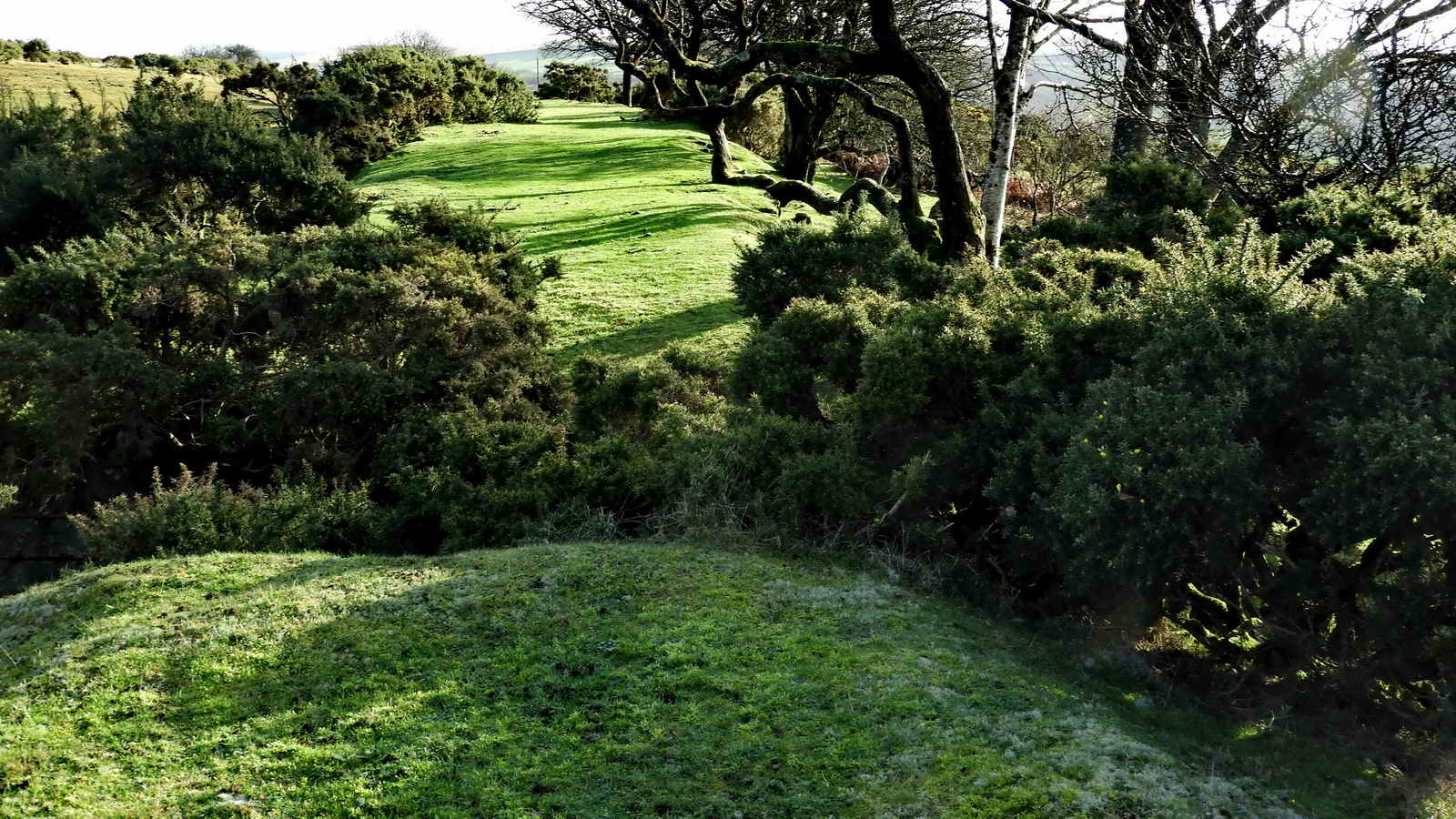 At the cattle creep, which would have been bridged in wood