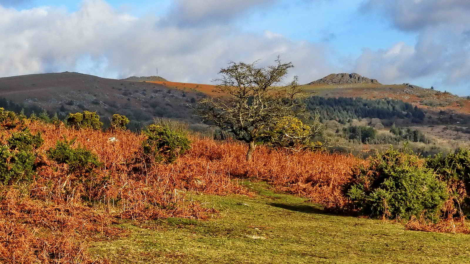 View with Peak Hill (left), Sharpitor (left of centre, with North Hessary Tor mast behind) and Leather Tor (right)