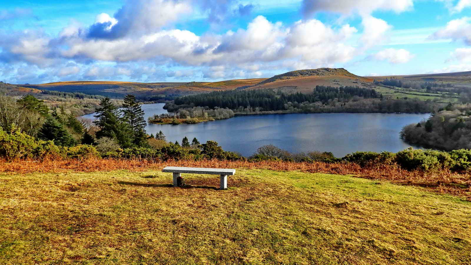 Memorial bench at SX 54916 68258 with an impressive view