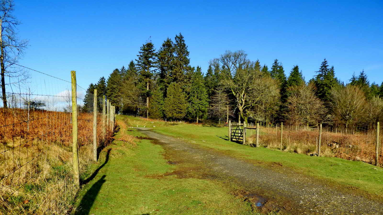 Approaching the site of Lowery Crossing, the crossing keeper’s cottage was on the open green area, the signal box was behind the lefthand fence