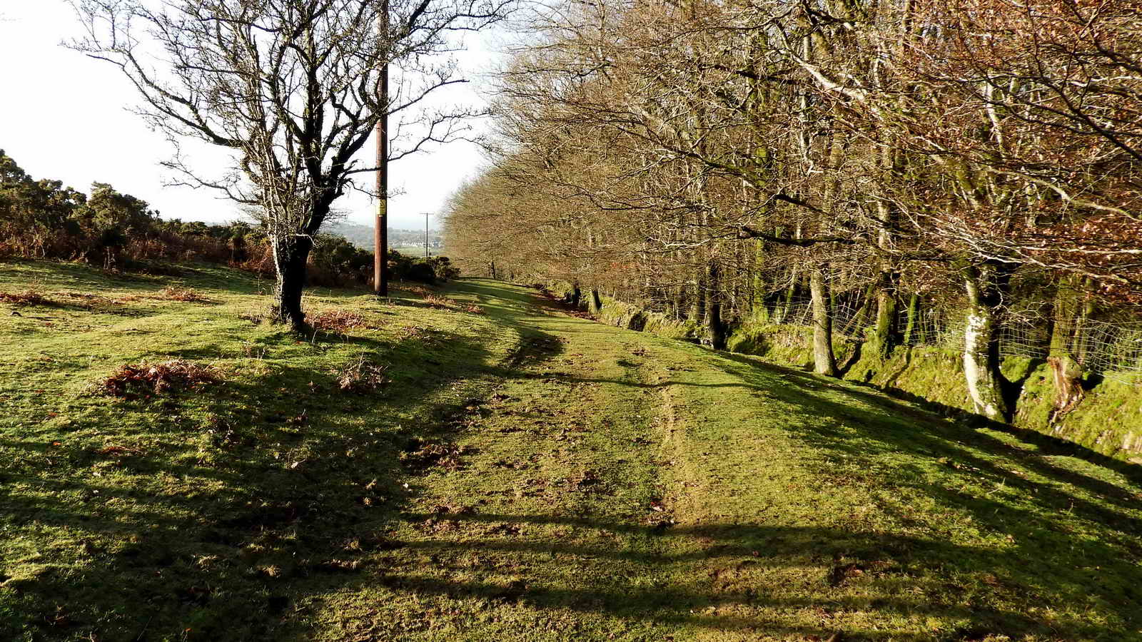 The track after walking downhill towards Yennadon (Welltown) Cross and bearing left towards Dousland