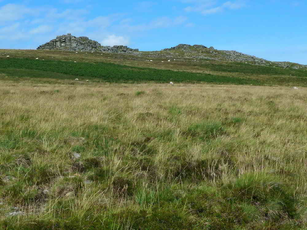 West Mill Tor